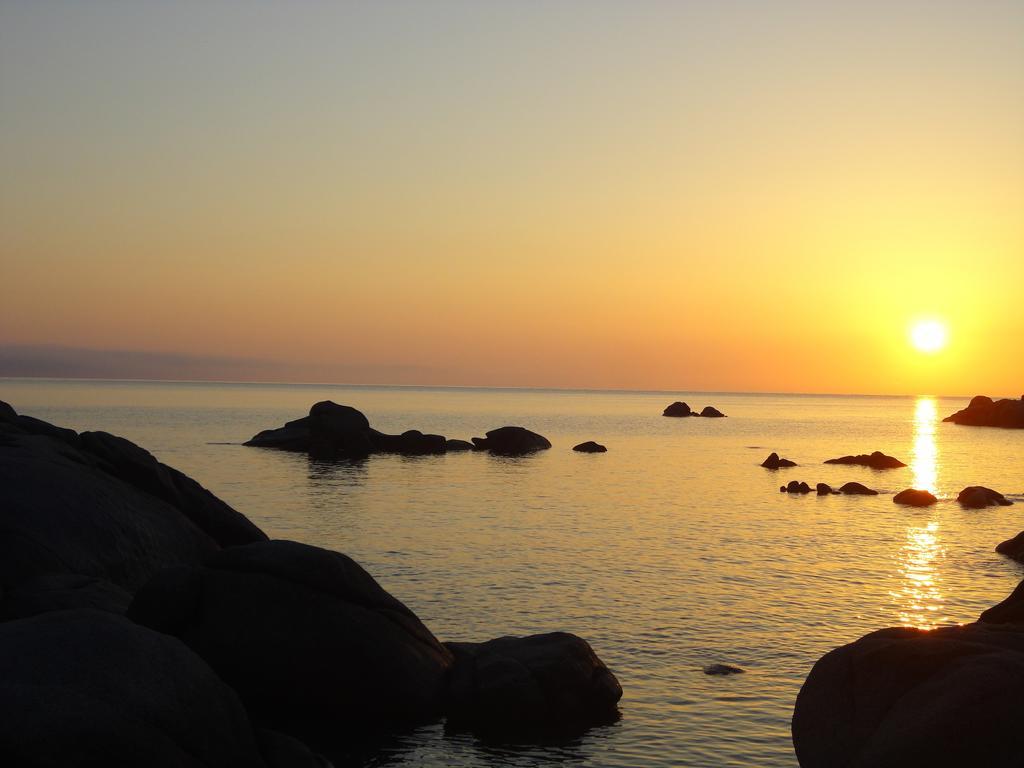 Bed And Breakfast Le Petunie Bari Sardo Exterior foto